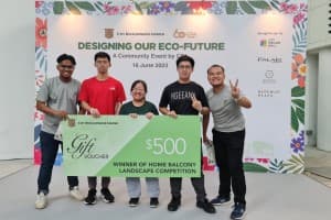 Home Balcony Lancscape Competition