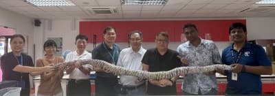 Guinness World Record3ea4f8354e5b4674814e4d4be1f474a5