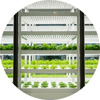 Smart Indoor Farming