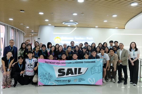 Sail Cover