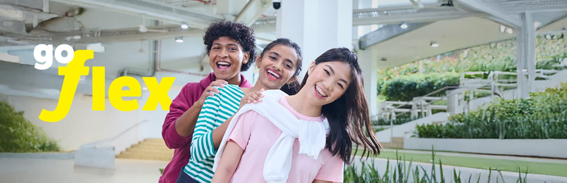 Banner Go Flex Nov25
