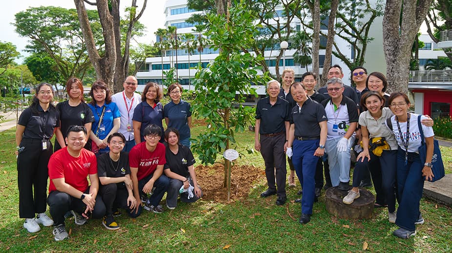 2025 11 25 Mapletree Np Plant a Tree 5300e