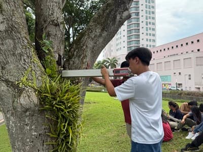 Ldh Tree Inspection