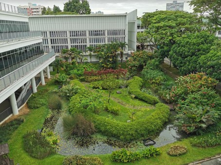 ecosystem pond at Blk 22