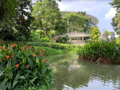 natural pond surround by lush greenery at the heart of the campus at Blk 56