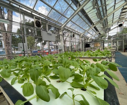 mesh-covered Greenhouse at Blk 84