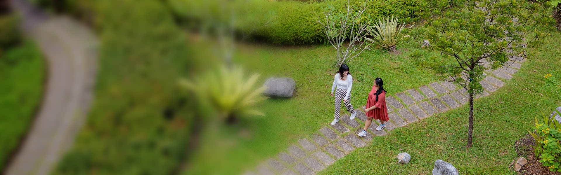 Drone image of Blk 22 eco-garden