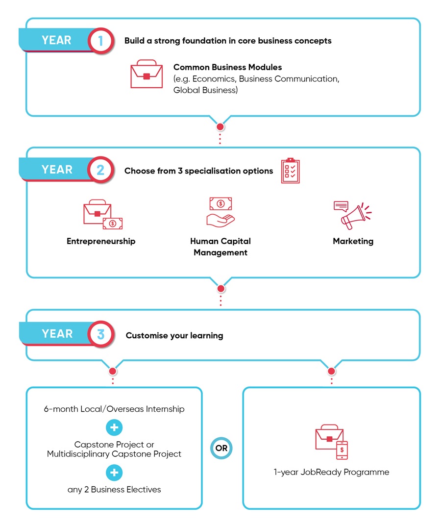 Infographic for Diploma in Business Studies (BS)