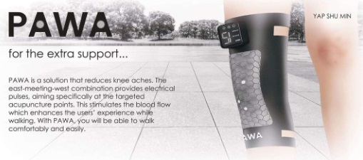 Image of knee guard design, PAWA