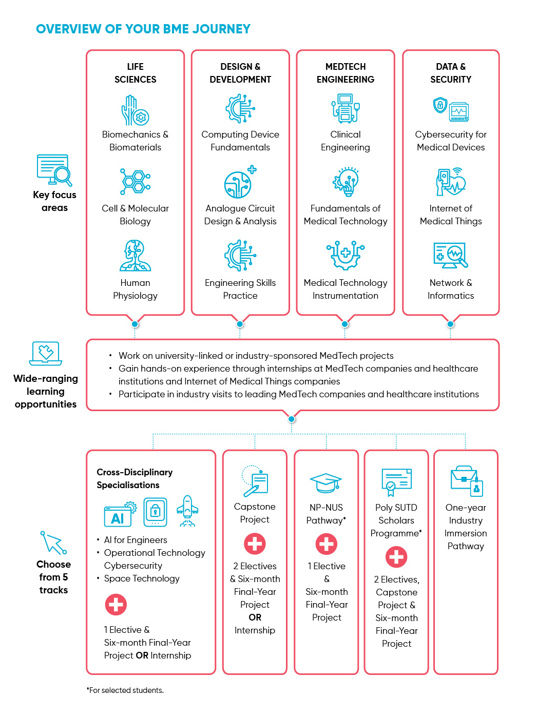 BME infographic BME infographic