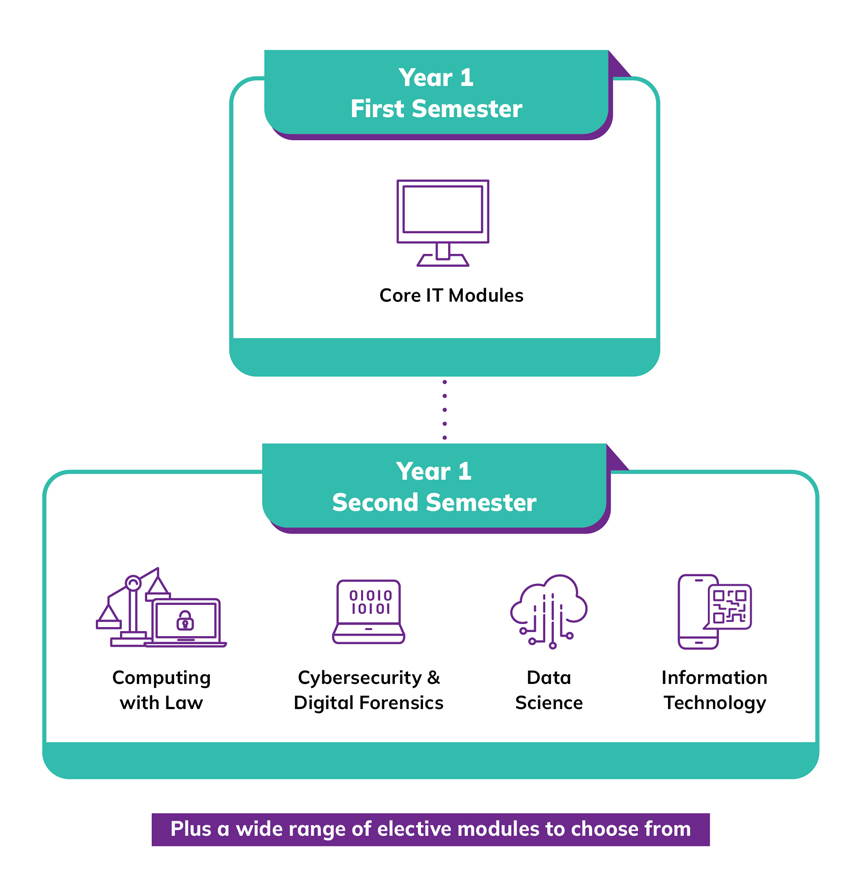 Infographic for Common ICT Programme