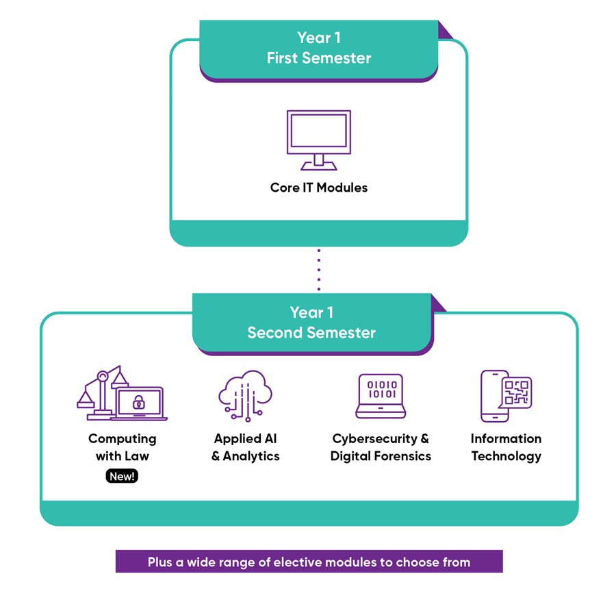 Infographic for Common ICT Programme