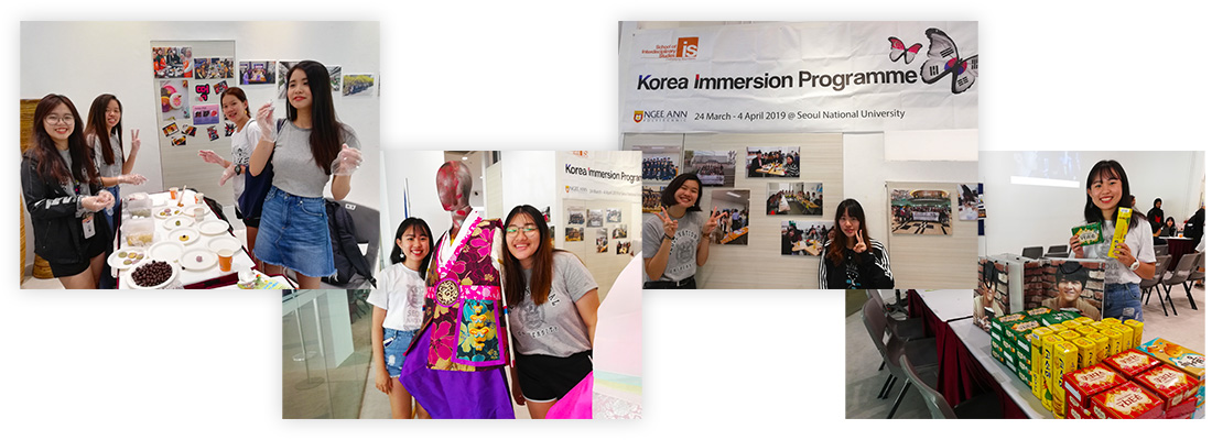 Korea Immersion Programme Korea Immersion Programme