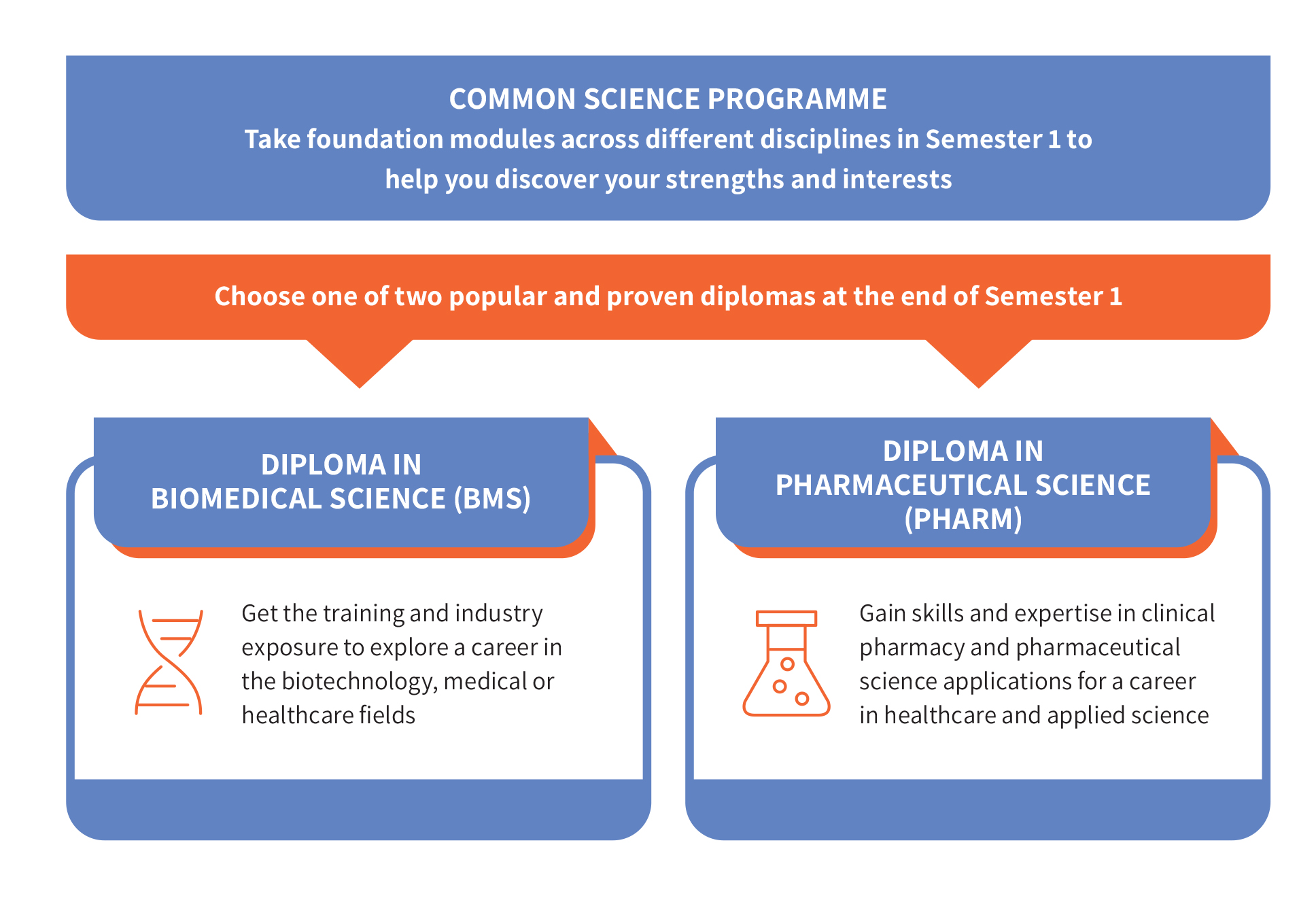 Infographic for Common Science Programme (CSP)