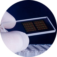 Diagnosing Diseases using DNA Chips