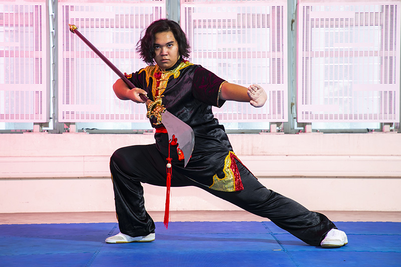 Wushu